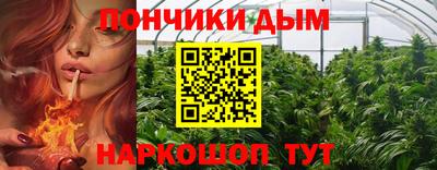 индика Ливны