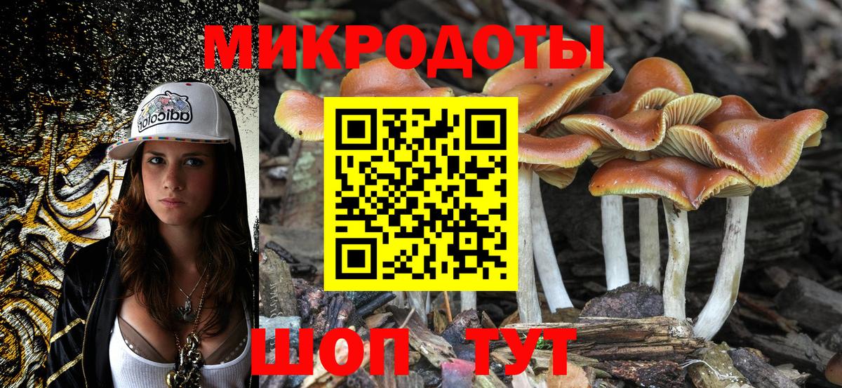 Тамбов  Псилоцибиновые грибы прущие грибы  Вход с VPN  Галлюциногенные грибы прущие грибы 